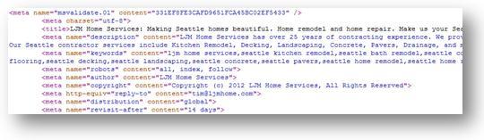 Meta Tags Example